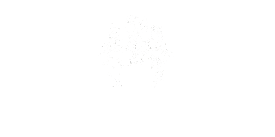 06.CC